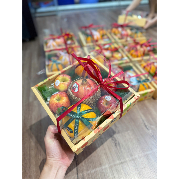 Combo túi hộp giấy mica đựng trái cây quà tặng lễ