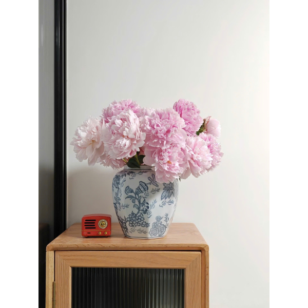 Hoa Mẫu đơn Sarah Bernhardt size AAA New Zealand